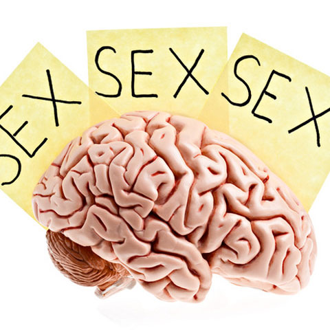 sex-on-brain