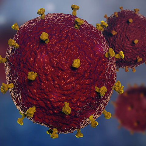 virus